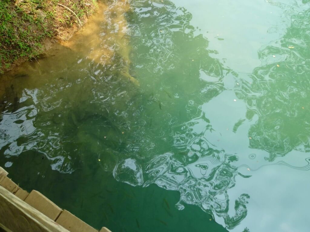 ブルーラグーン（Blue Lagoon)はめっちゃキレイなエメラルドグリーンの川