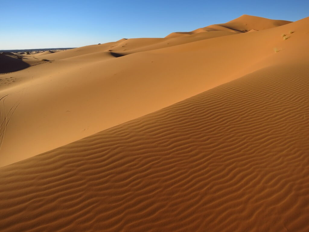 サハラ砂漠の風と砂が創り出すアート