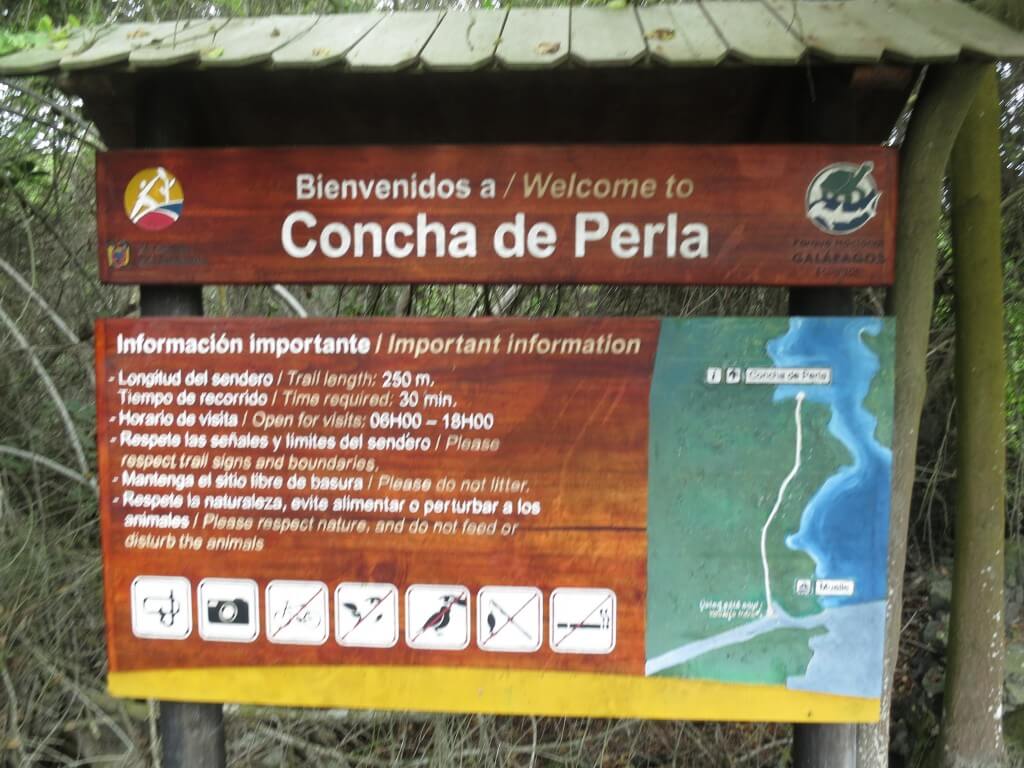 イサベラ島の「concha de perla」ではアシカとウミガメと一緒に泳げる！