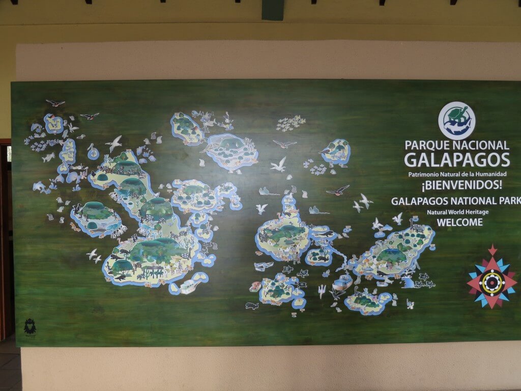 ガラパゴス諸島での観光は？クルーズでなくても入れる島はどこ？