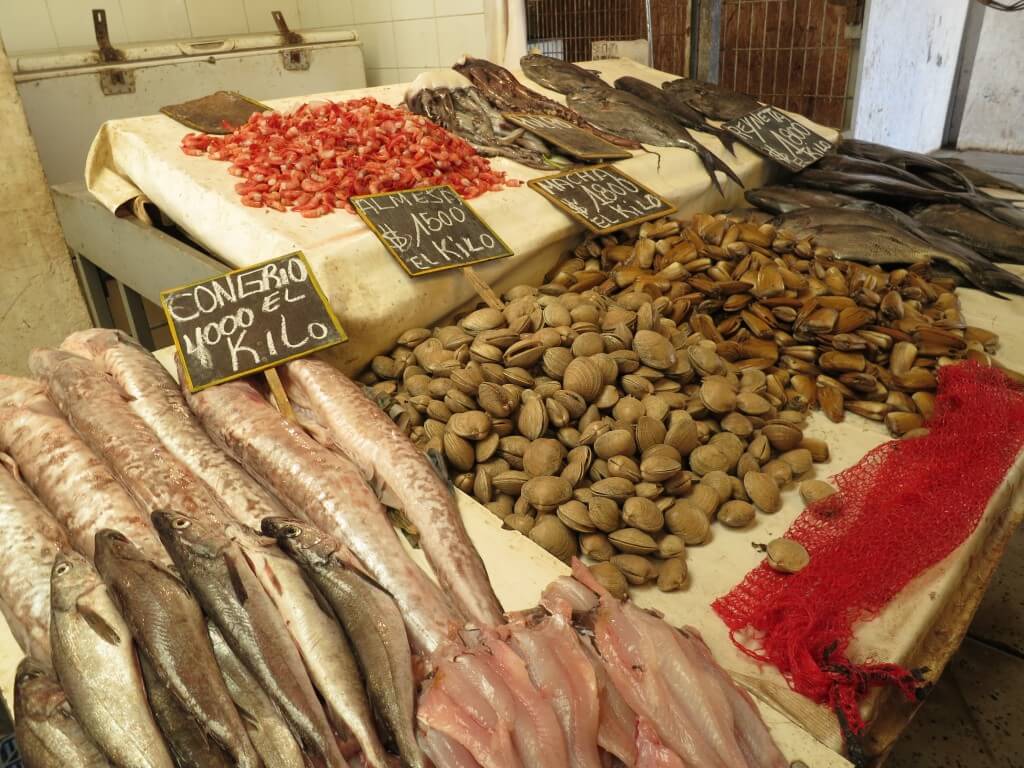 ビーニャ・デル・マル 魚市場　チリ　魚介類