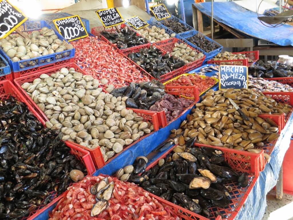 ビーニャ・デル・マル 魚市場　チリ　魚介類　