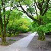 熊本の観光は城彩苑に細川刑部邸！馬刺しが食べたい人が注意すべきこととは？
