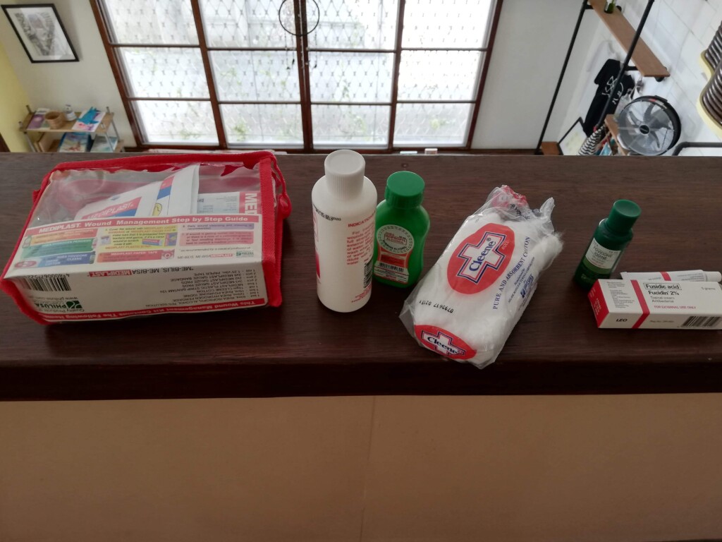 第一に病院へ!Pigsa(ピグサ)の治療法に効果のある薬