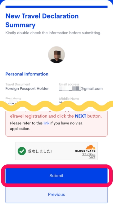 New Travel Declaration Summary(入力内容の確認)