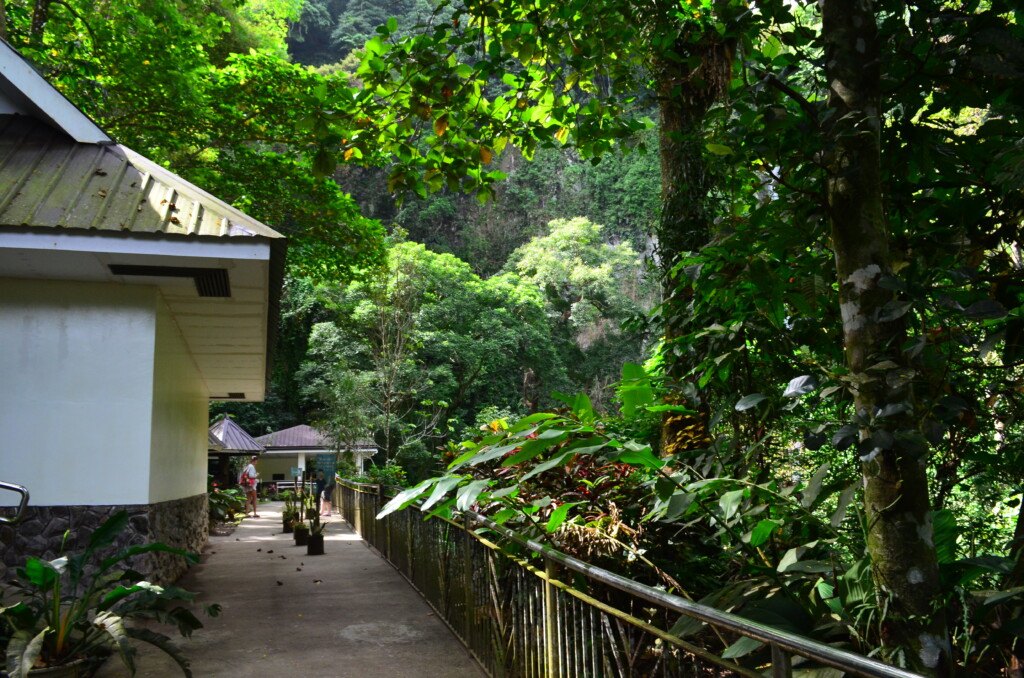 Katibawasan Falls（カティバワサン滝）は迫力がある滝で涼しいし泳げる